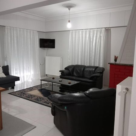 Spacious Apartment Anatoli Ioannina Exterior foto